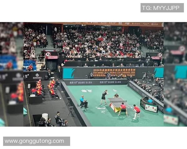 成都乒乓球队在全国速度排行榜中荣获第五名展现实力与潜力