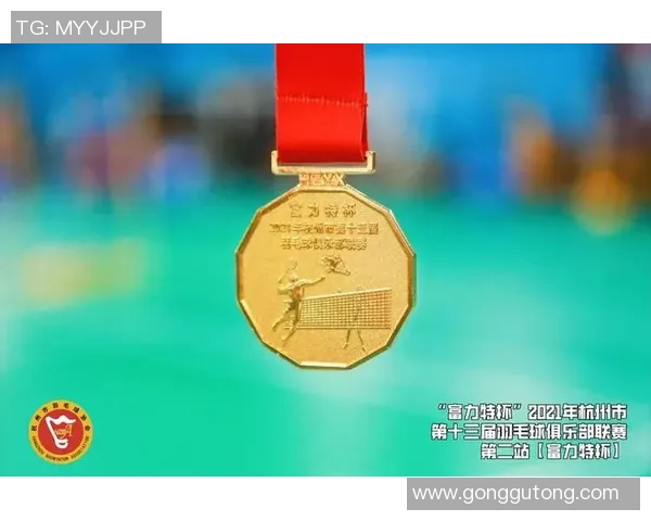 杭州羽毛球队个人能力深度对比解析与发展潜力探讨